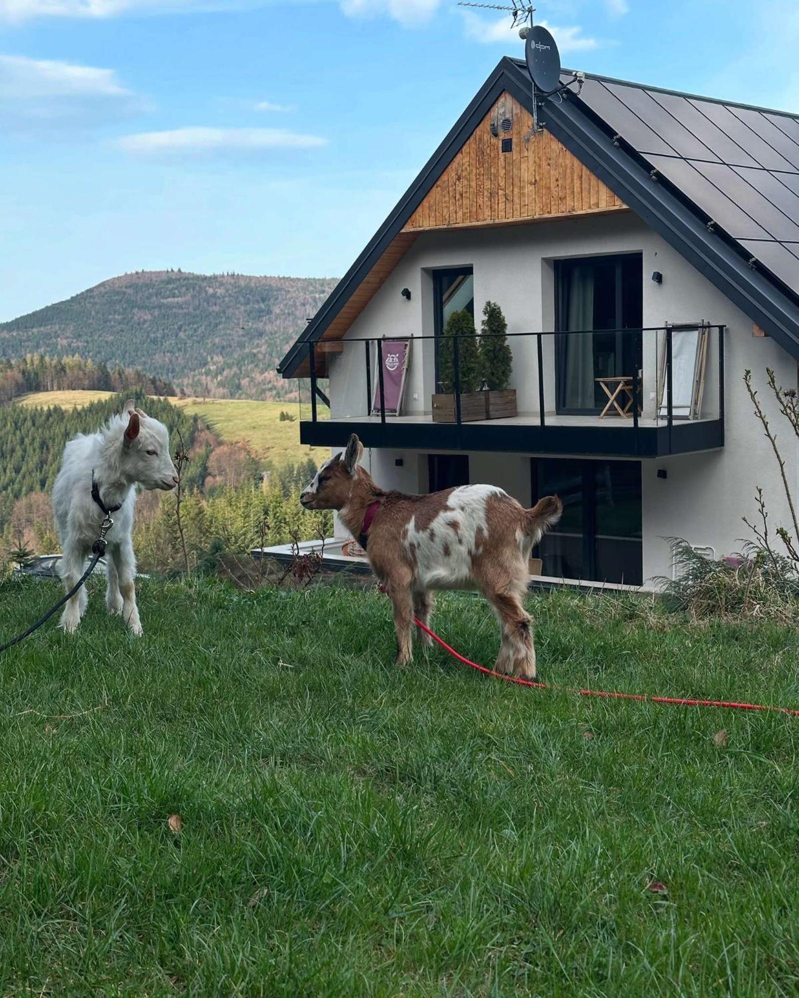 Gorczanskie Zacisze Lubomierz  エクステリア 写真